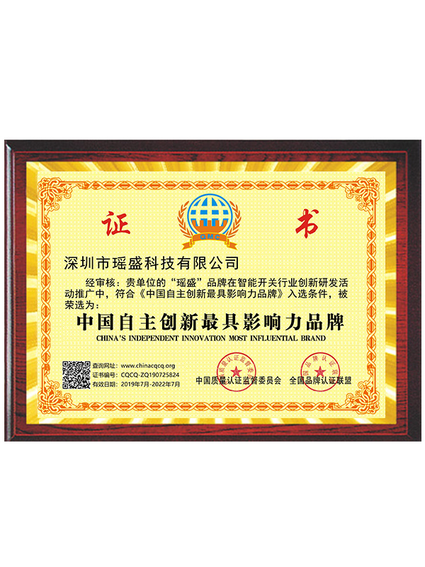 中國自主創新最具影響力品牌