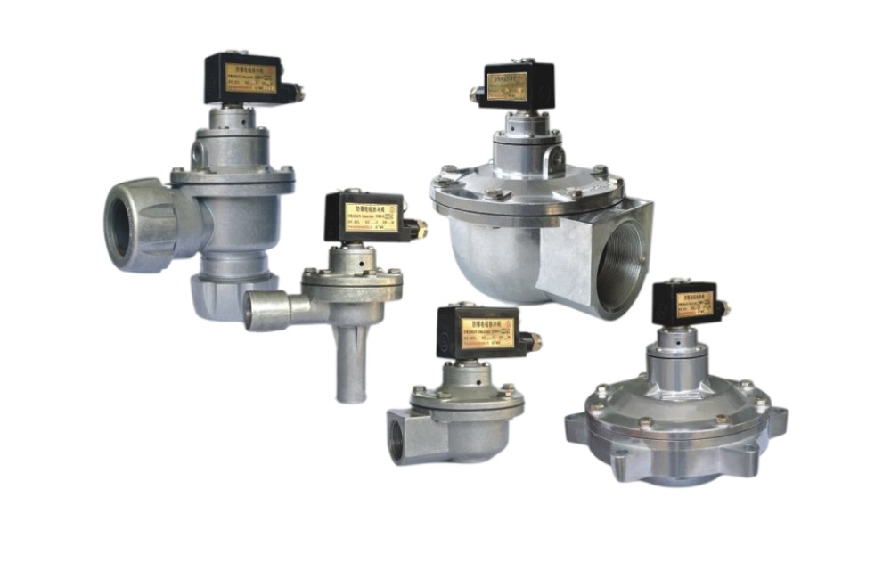 防爆電磁脈沖閥插圖1